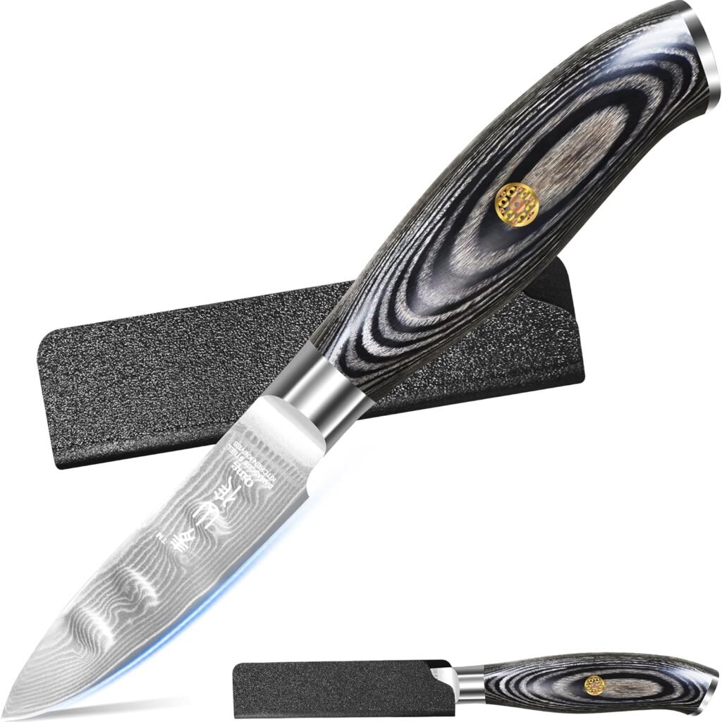 XYJ Professional Damascus Steel Knife - desibuyguide